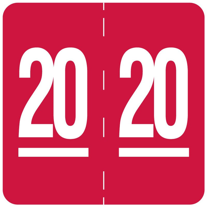 Medical Labels - Ames Compatible 2020 Year Label, 1-7/8" x 1-7/8"