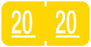 Medical Labels - GBS/VRE 6100 Compatible 2020 Year Label, 1-1/2" x 3/4"