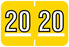 Medical Labels - Colwell Compatible 2020 Year Label, 1-1/2" x 1"