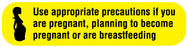 Medical Labels - HD PREGNANCY WARNING, Medication Instruction Label, 1-5/8" x 3/8"