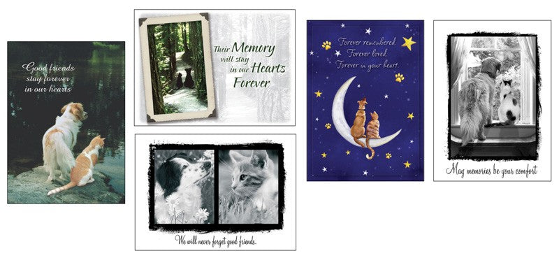 Medical Labels - Sympathy Card Assortment, 4X5-13/16