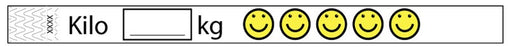 Medical Labels - Tyvek Kilo Wristband, 10"x 3/4"