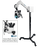 Colposcope