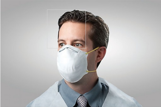 Particulate Respirator Mask