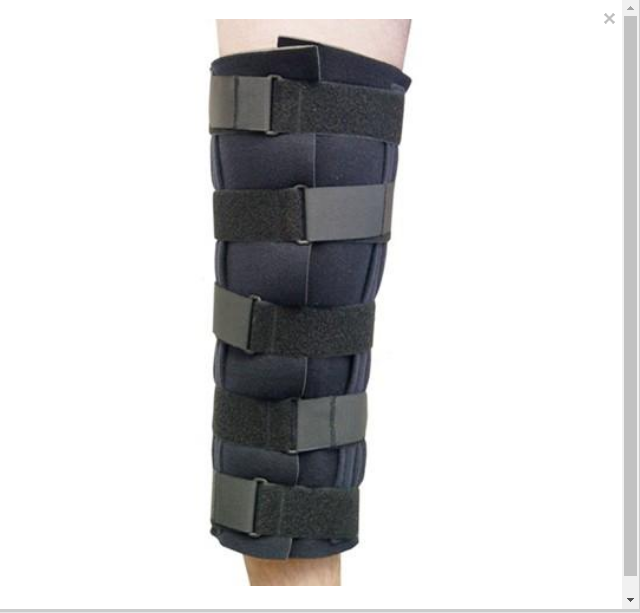 Knee