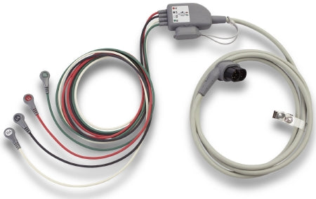 Trunk Cable