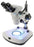 Zoom Stereo Microscope