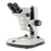 Zoom Stereo Microscope