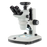 Zoom Stereo Microscope